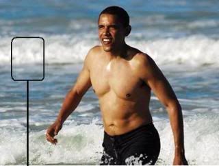 obama Pictures, Images and Photos