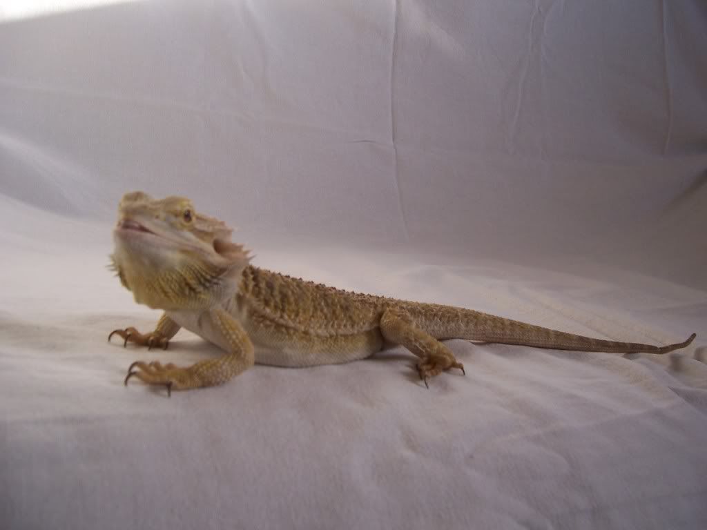 Magic31May201117.jpg