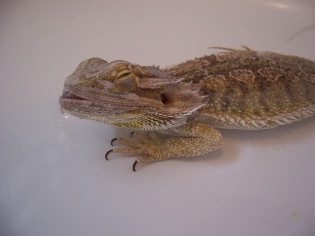Magicinbath04June20111.jpg