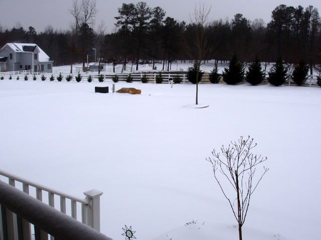 P1010050.jpg