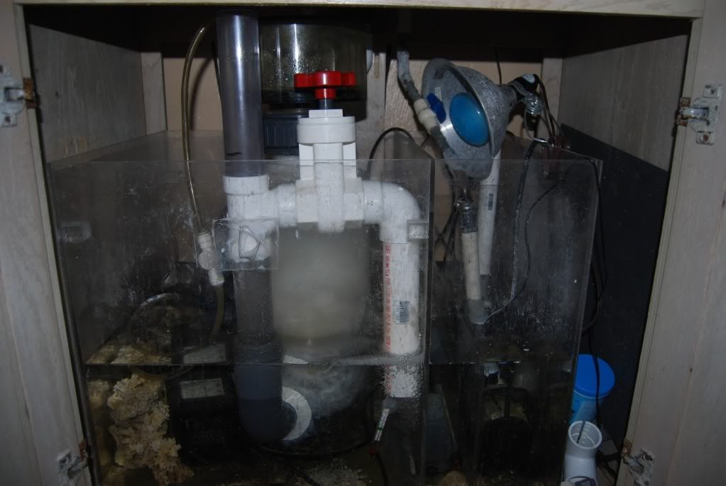 90 Gal oceanic cube for sale Reef Central Online Community