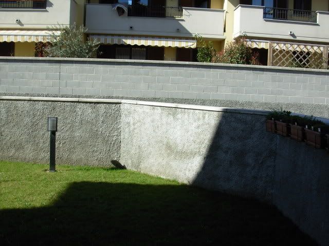 DSCN7429.jpg