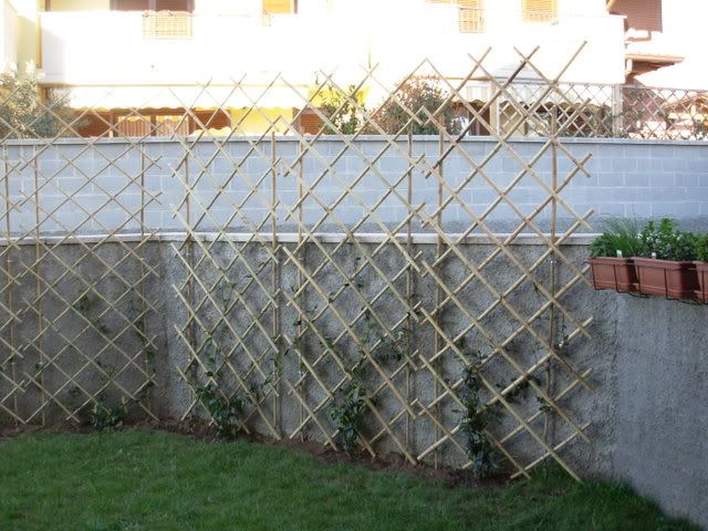DSCN7454.jpg