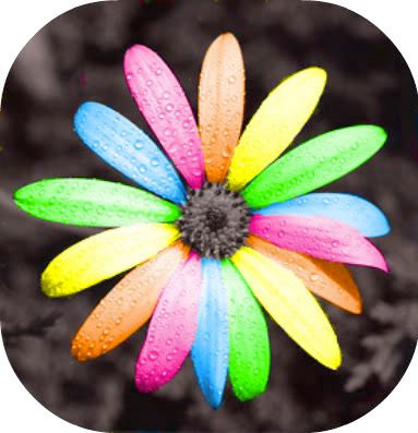 RAINBOW-5.jpg colorfull flower image by glory43happy