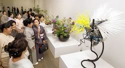 http://www.hokkoku.co.jp/subpage/HT20090611401.htm