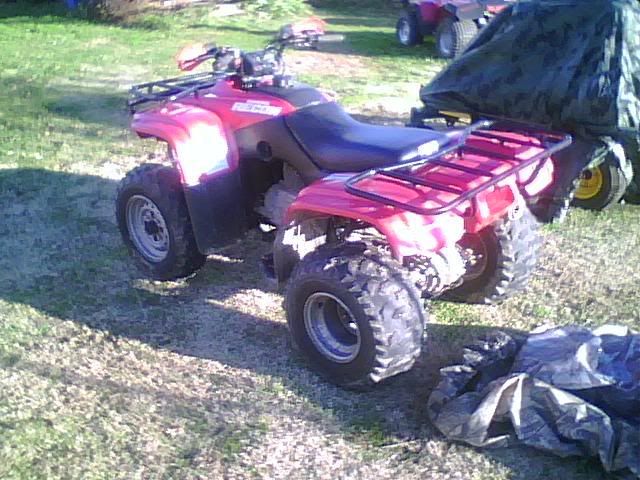 Honda quad runner rider #7