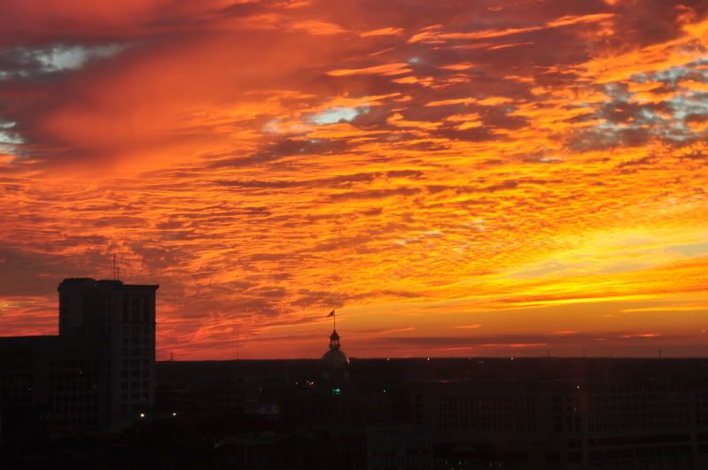 Sunset Savannah