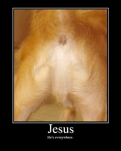 jesus-dog-butt2.jpg
