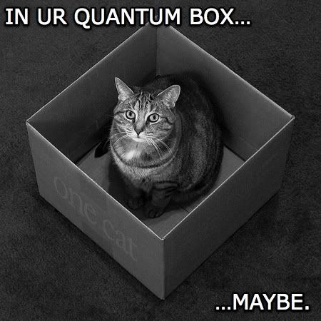 Black and white cat in box, caption says "I'm in your quantum box. Maybe."