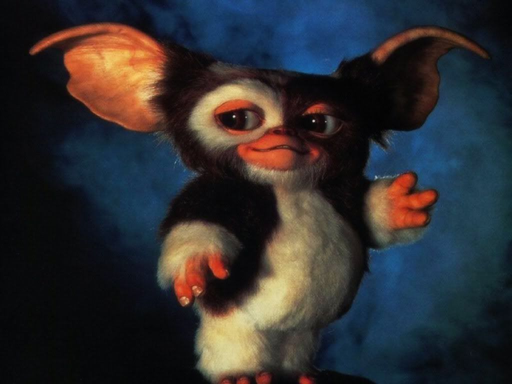 Gizmo -gremlins Photo by moviebrian2008 | Photobucket