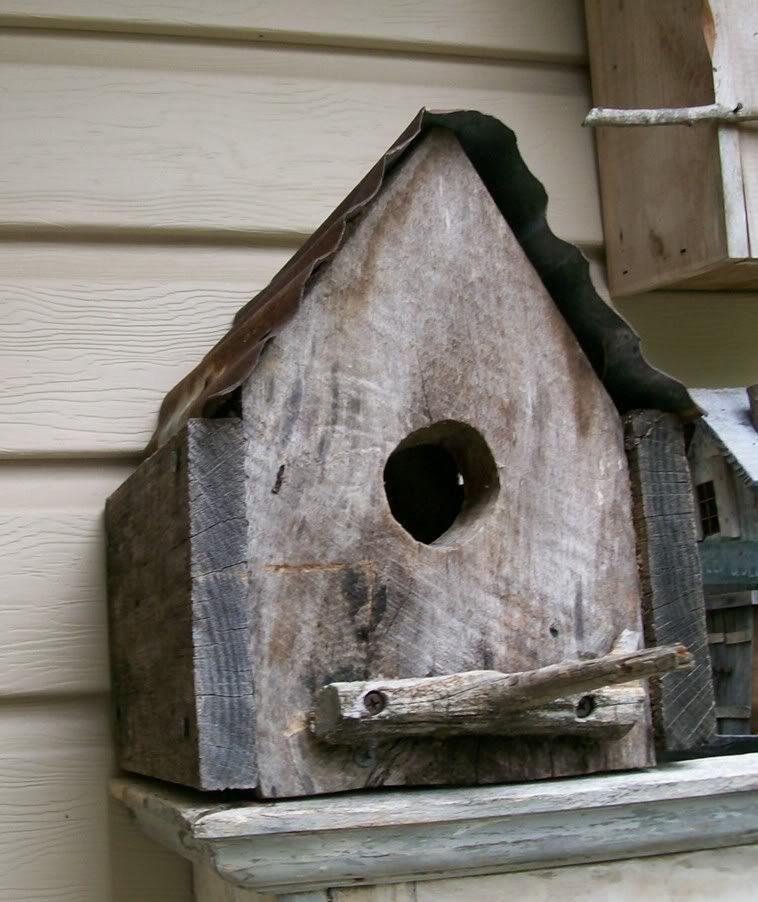 Our busiest birdhouse this spring
