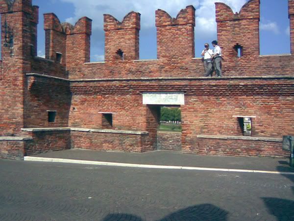 Image410-2.jpg picture by congioibeo