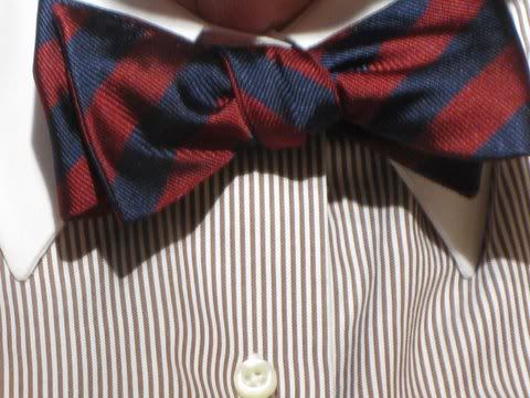 BrooksBrothersbowtie.jpg