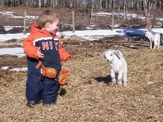 2008 Kid Pics - Cute lil gaffers! - Goats