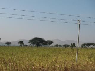 Pune,India,Countryside