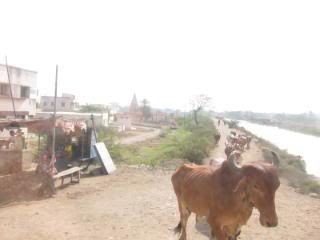 Pune,India,Countryside