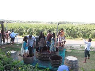 Nashik,GIP India