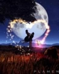 moonlight love Pictures, Images and Photos