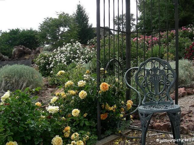 r-garden-chair-4803.jpg