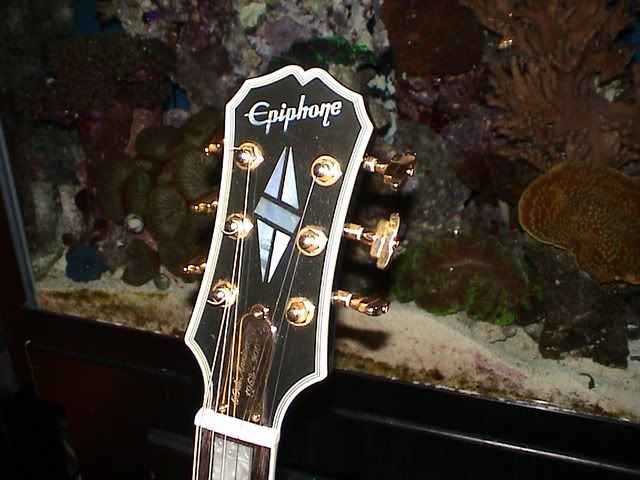 epiphone-02.jpg