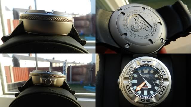 citizen ecozilla titanium for sale