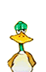 [Image: duck-2.gif]