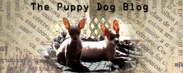 The Puppy Dog Blog