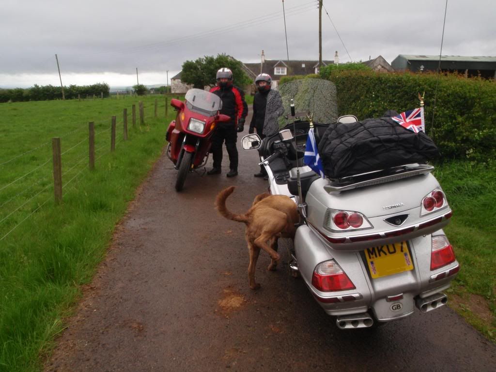 [Image: SCOTLANDMAY2009032a.jpg]