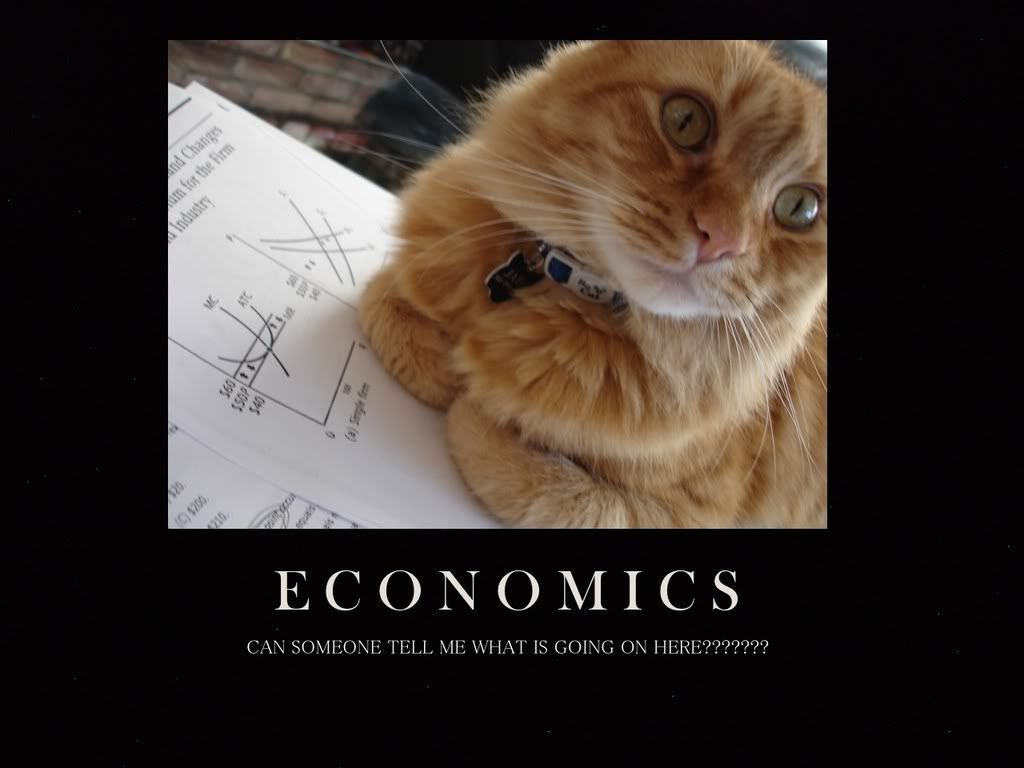 Economics! Pictures, Images and Photos