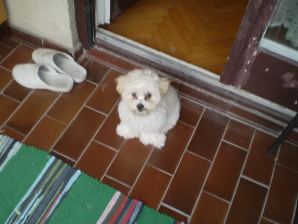 Slika