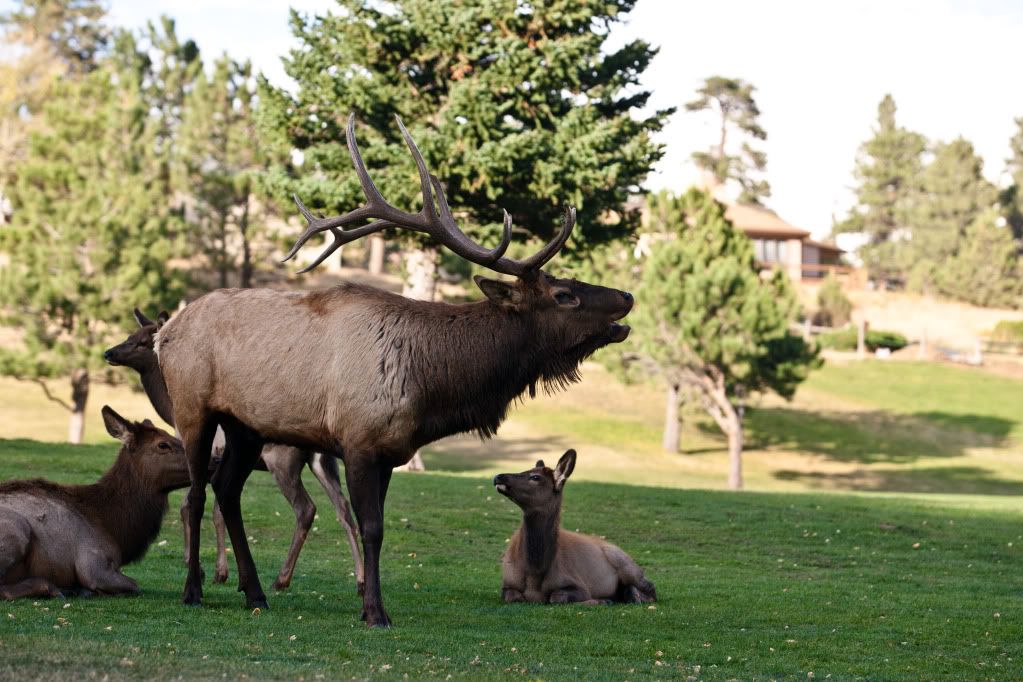 IMAGE: http://i259.photobucket.com/albums/hh296/olivercrane/share/1DN_0141.jpg