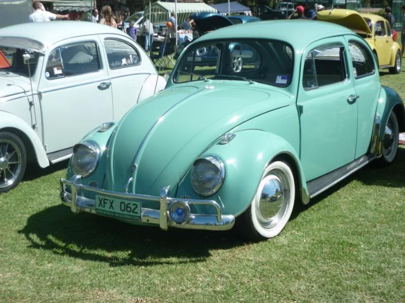 http://i259.photobucket.com/albums/hh297/greasykitchen/DOVW2010/P1000700.jpg http://i259.photobucket.com/albums/hh297/greasykitchen/DOVW2010/P1000700.jpg
