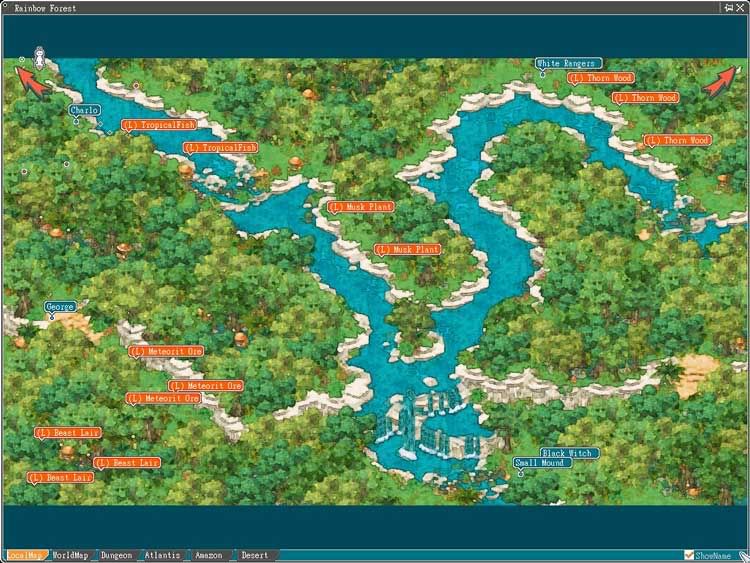 RainbowForest.jpg