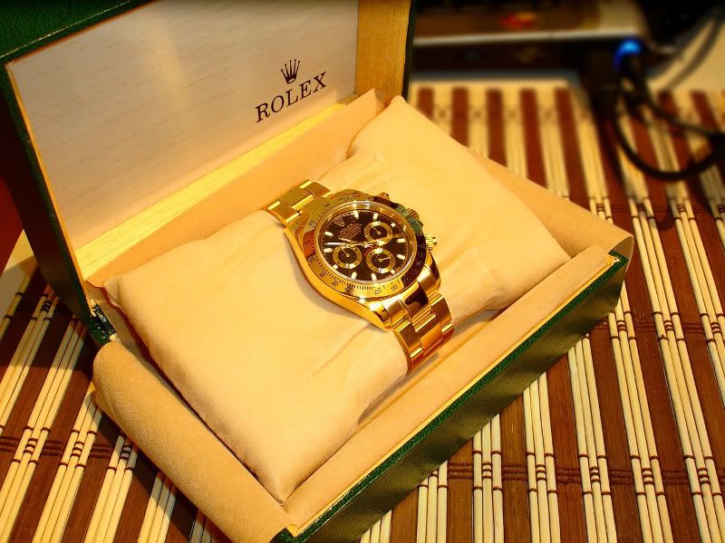 DSC07488xR.jpg