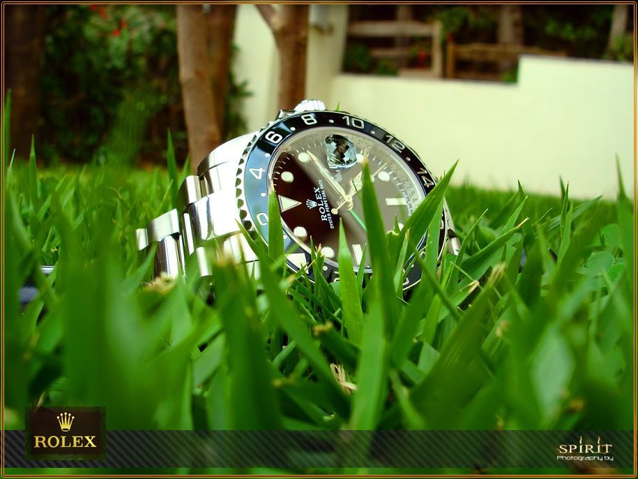 116710LNGMT-MasterIIWristcheckGrass.jpg