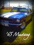 stang-1.jpg