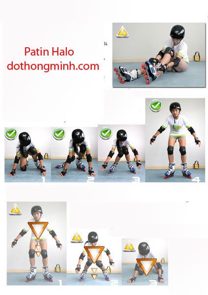 patin halo