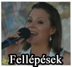 Fellpsek