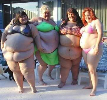 fat person in bikini. should fat people be allowed