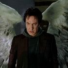 AngelDogma.jpg
