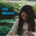 Meddle.gif