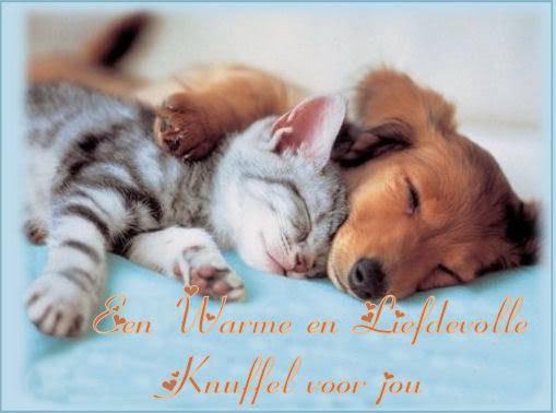 warme knuffel photo: knuffel knuffel.jpg