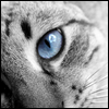 6tj2.png picture by FanGCH