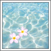 9444077.png picture by FanGCH