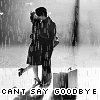 thgoodbye.gif picture by FanGCH
