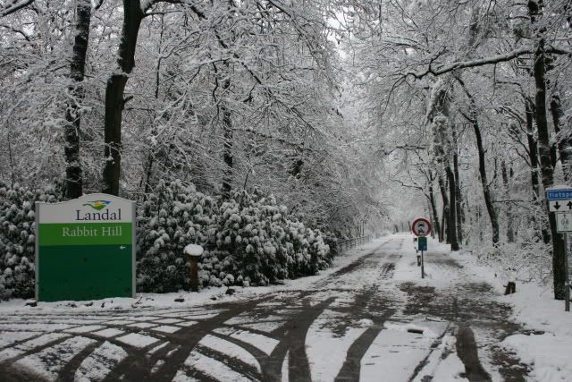 RabbitHill129.jpg