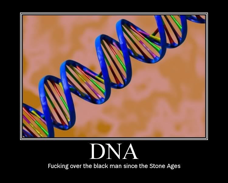 Order Of Dna