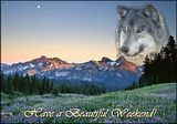 Weekend46.jpg image by Powell38
