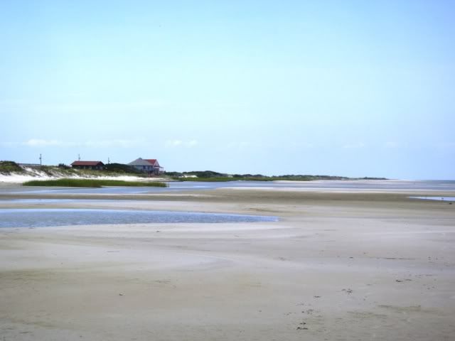 cedarislandbeach.jpg