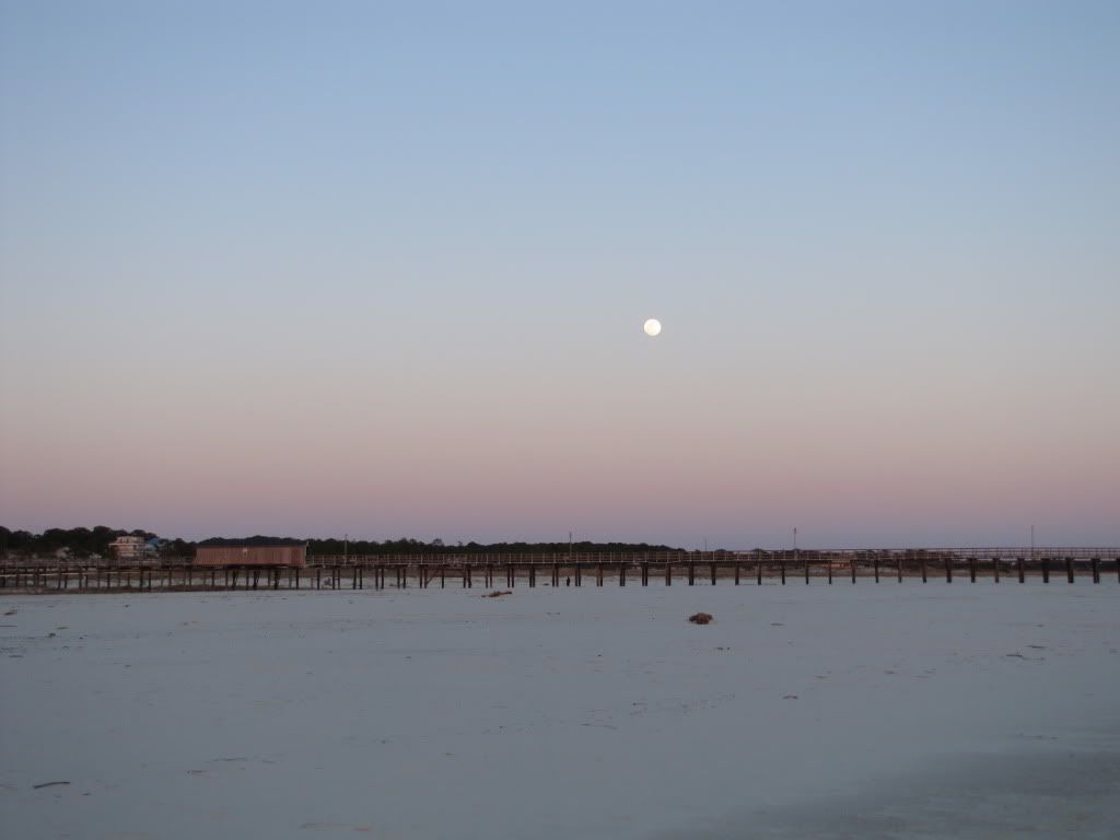 IMAGE: http://i259.photobucket.com/albums/hh311/duckduckdog/IMG_0360.jpg